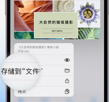 武汉apple维修中心分享iPhone文件应用中存储和找到下载文件