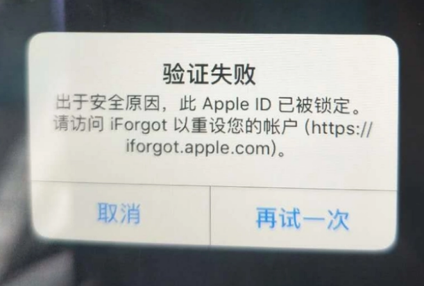 武汉iPhone维修分享iPhone上正常登录或使用AppleID怎么办 