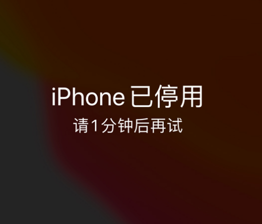 武汉苹果手机维修分享:iPhone 显示“不可用”或“已停用”怎么办？还能保留数据吗？ 