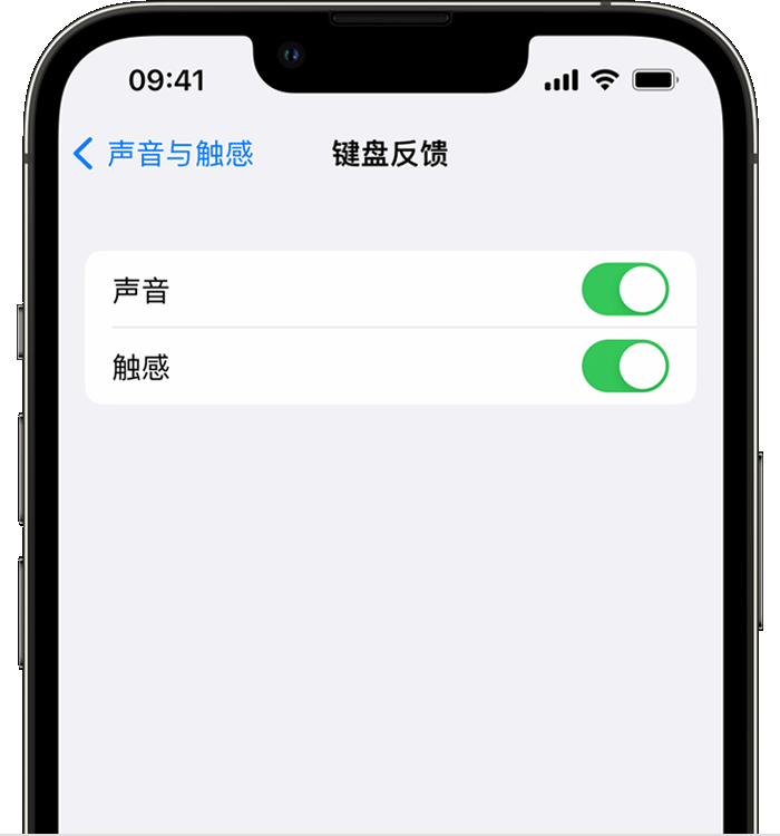 武汉苹果14维修店分享如何在 iPhone 14 机型中使用触感键盘 