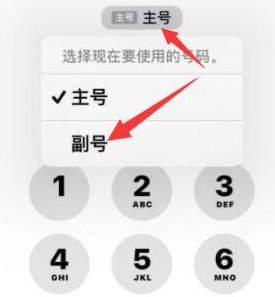 武汉苹果14维修店分享iPhone 14 Pro Max使用副卡打电话的方法 