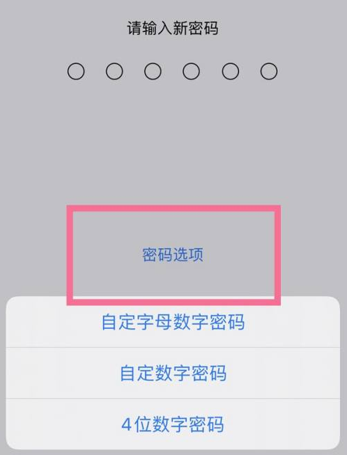 武汉苹果14维修分享iPhone 14plus设置密码的方法 