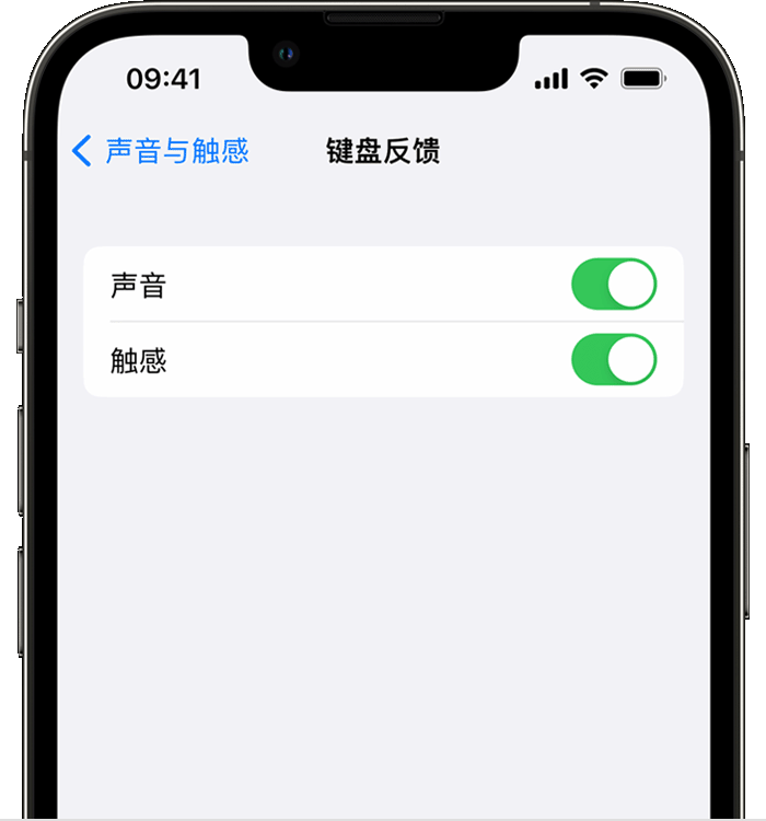 武汉苹果14维修分享iPhone 14 系列机型如何开启键盘声音或触感反馈 