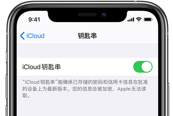 武汉苹果手机维修分享在 iPhone 上开启 iCloud 钥匙串之后会储存哪些信息 