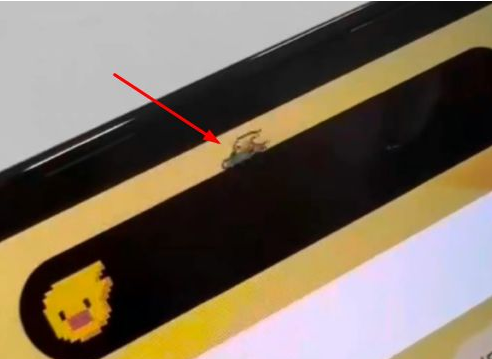 武汉苹果14维修分享iPhone 14 Pro Max灵动岛怎么养宠物 