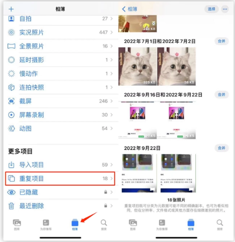 武汉苹果手机维修分享iOS 16 中相册重复项目功能使用方法 