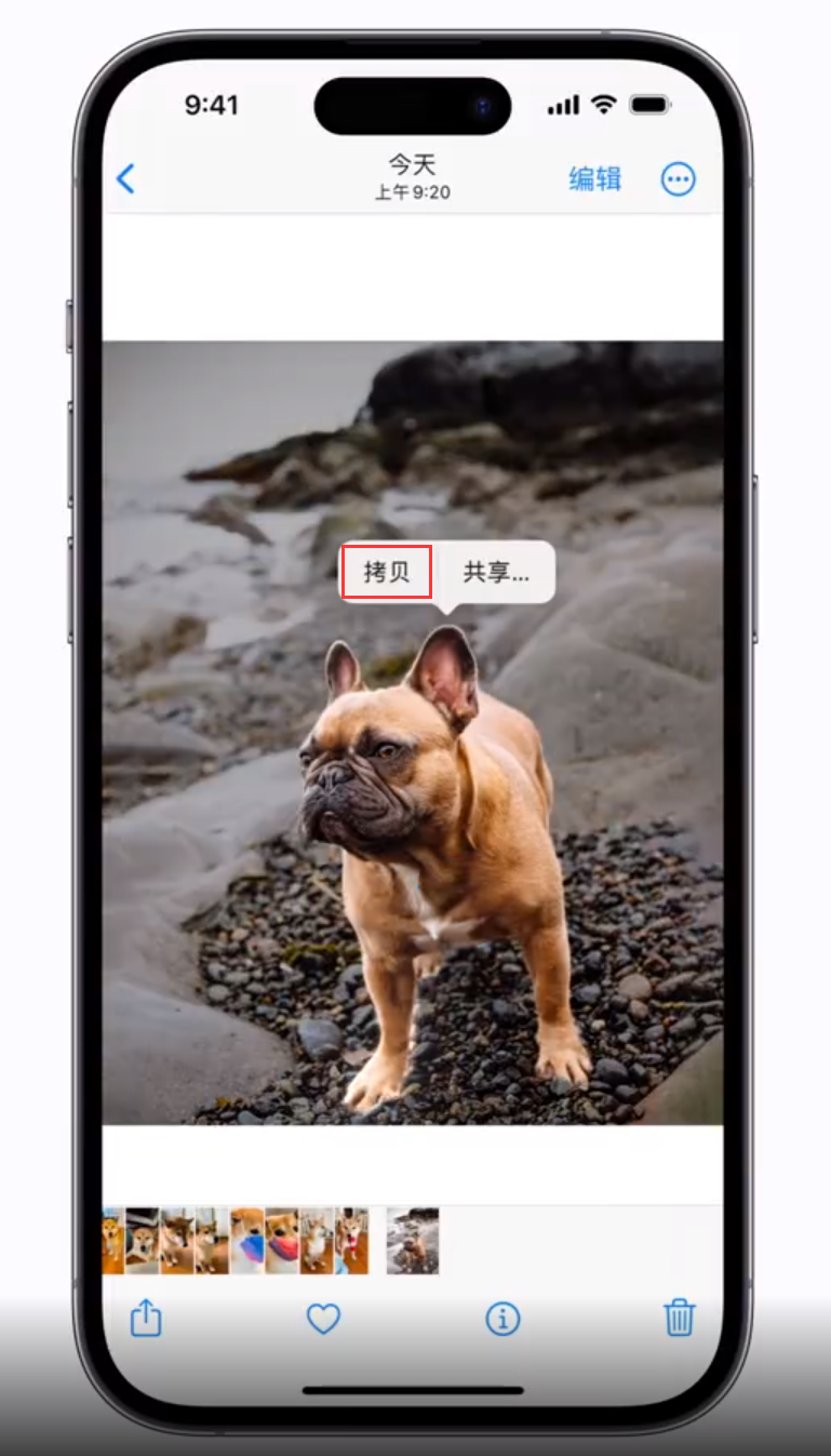 武汉苹果手机维修分享 iOS 16 自带一键抠图功能 