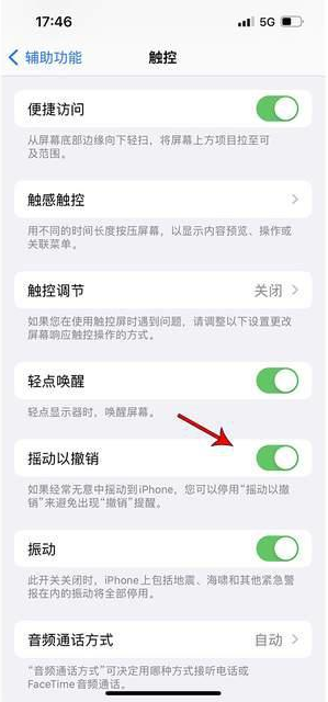 武汉苹果手机维修分享iPhone手机如何设置摇一摇删除文字 