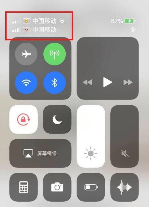 武汉苹果手机维修分享为 iPhone 12 双卡设置标签 